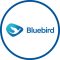 Blue Bird Group